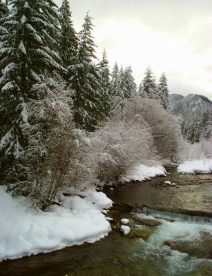 Breitenbush Oregon January 2008