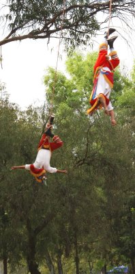 Veracruz Flyers in Mex City