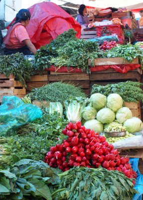 Cuernavaca Markets