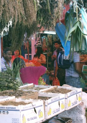 Cuernavaca Markets