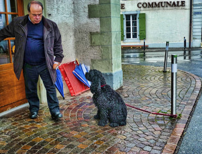 Waiting for a walk...in the rain