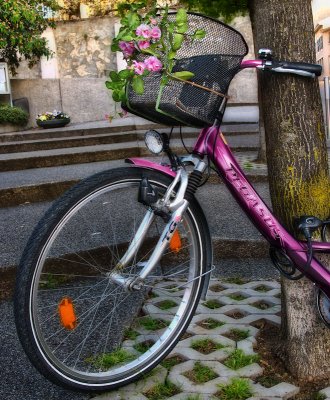 Spring bicycle...