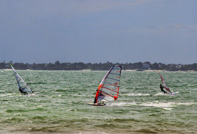 The windsurfers  started reaching the shore...
