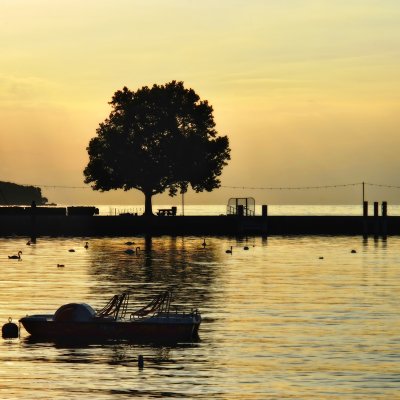 Natural golden duotone...