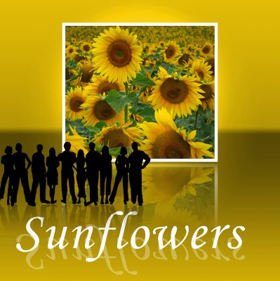 Sunflower 85