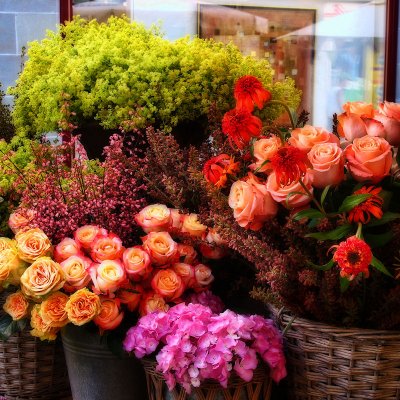 Some flowers to embellish my cave…