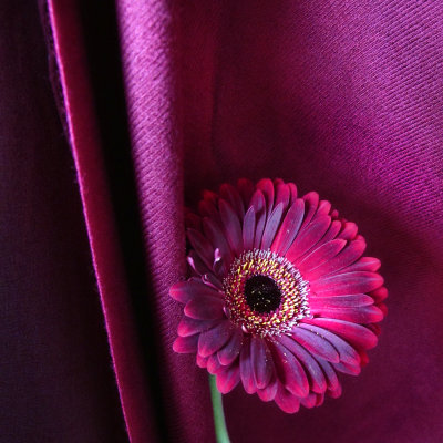 Silence is often the deepest tribute...