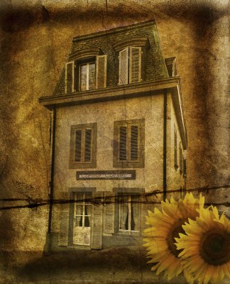 The house of sunflowers....