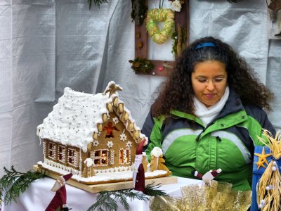 The shy  lady who sold gingerbread houses...