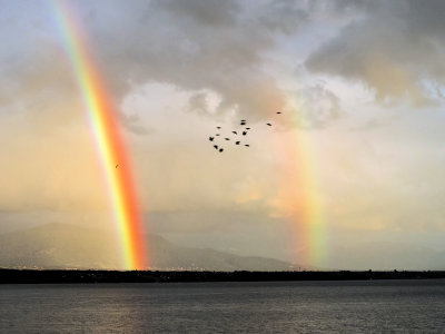 The rainbow flight...