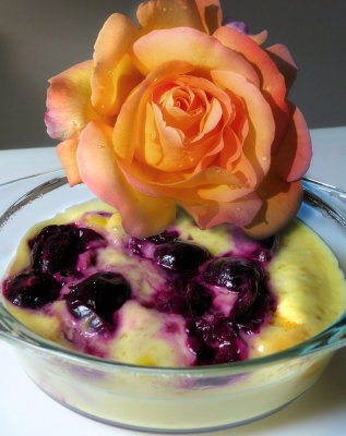 The rose broke her diet for a black cherry pudding...