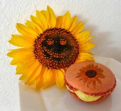 Sweet-toothed sunflower ...