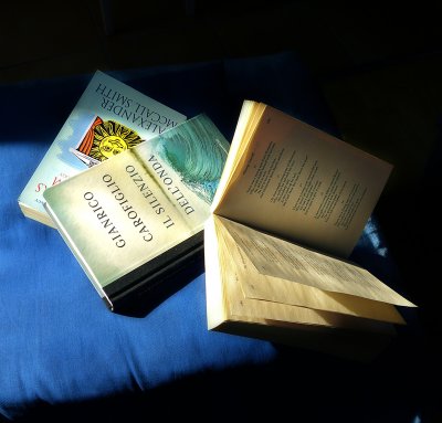 Early morning sun likes reading...