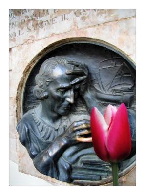 Cristoforo Colombo's tulip