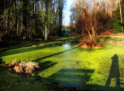 The small green pond by the Castle