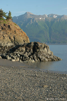 TURNAGAIN ARM SHORE