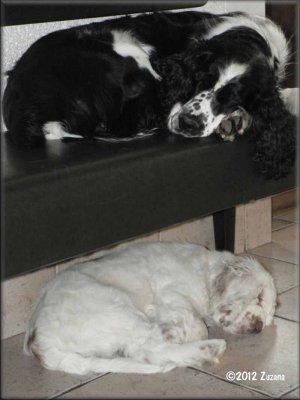 2012 03 22 Corbyn and Charles1.jpg