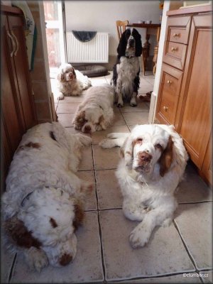 2012 07 23 Time for dinner.jpg