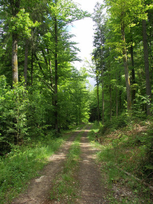 A20070506 013_dk.jpg