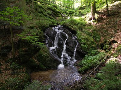 A20070701 004_k.jpg