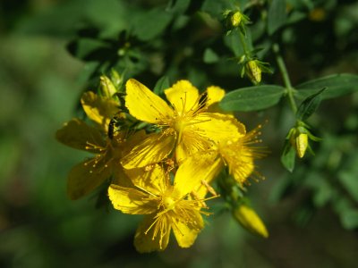 A20070722 009_k.jpg