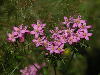 A20070722 029_k.jpg