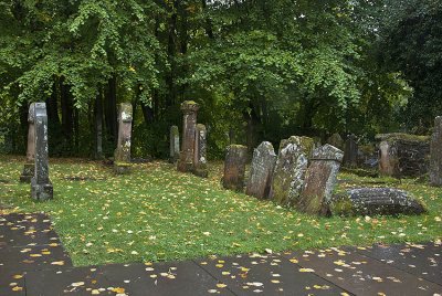The Fallen