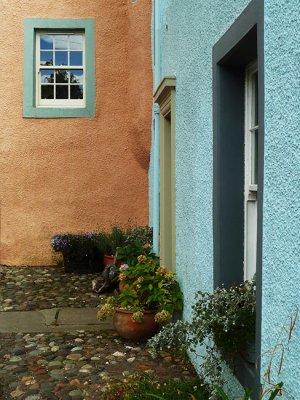 Colorful Corner