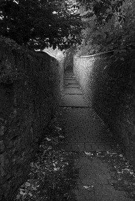 Garden Path
