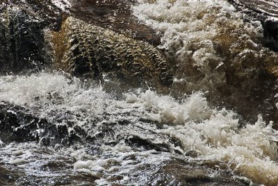 The Texture of Water