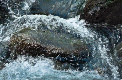  Lover's Lane Trail to Sol Duc Falls