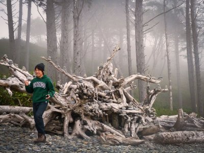 Ruby Beach