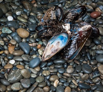 Ruby Beach