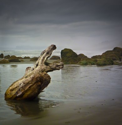 Ruby Beach