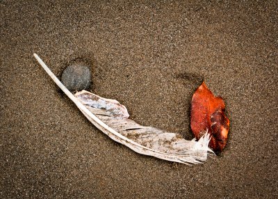 Still Life on Ruby Beach