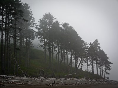 Ruby Beach