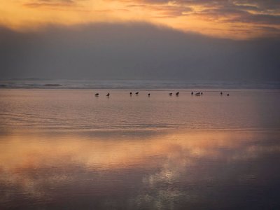 Sunset: Kalaloch Beach