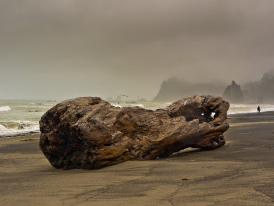 Rialto Beach