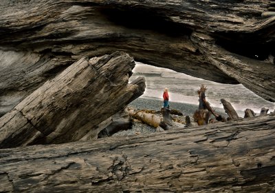 Rialto Beach
