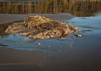 Second Beach