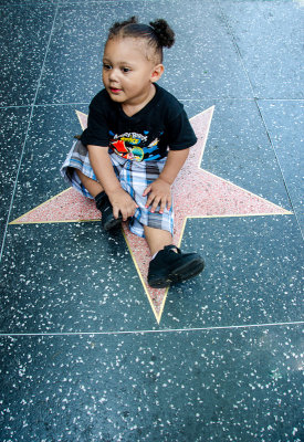 Hollywood Star