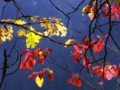 The Colors of Autumn