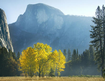 Autumn Morning