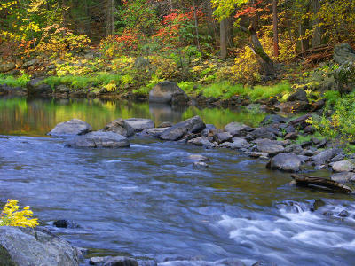 Autumn on the Merced River