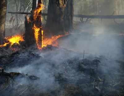 Controlled Burn