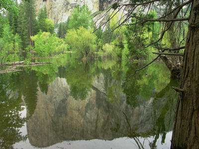 Spring:  El Cap Reflected