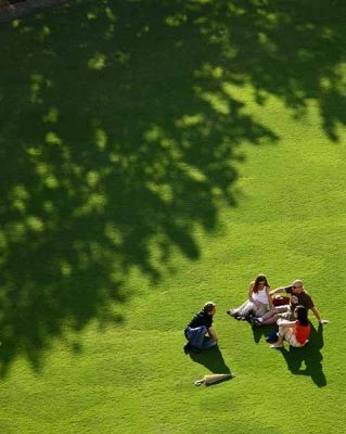 Relaxing on the Green