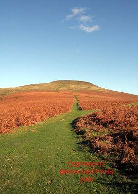 g4/82/646082/3/60845601.IMG_1939SUGARLOAF.jpg