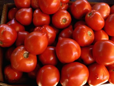 Cheeky Tomatoes