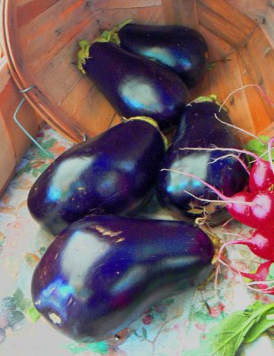 Eggplants with Radish